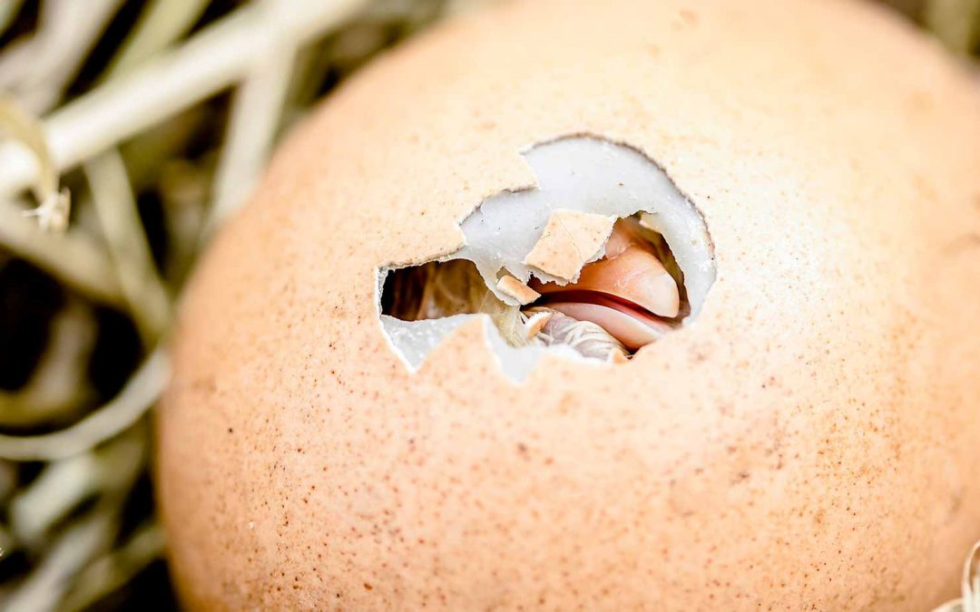 Cuando la existencia toma sentido