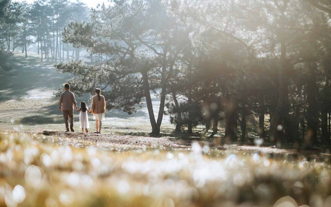 Honrar a los padres, honrar a la vida