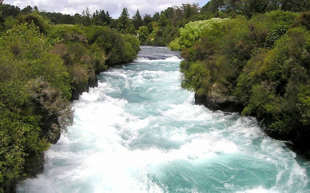 Que la fuerza nos acompañe