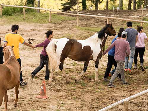 Retiro de Inteligencia Emocional con Caballos