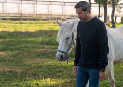 Sessió individual coaching sistèmic