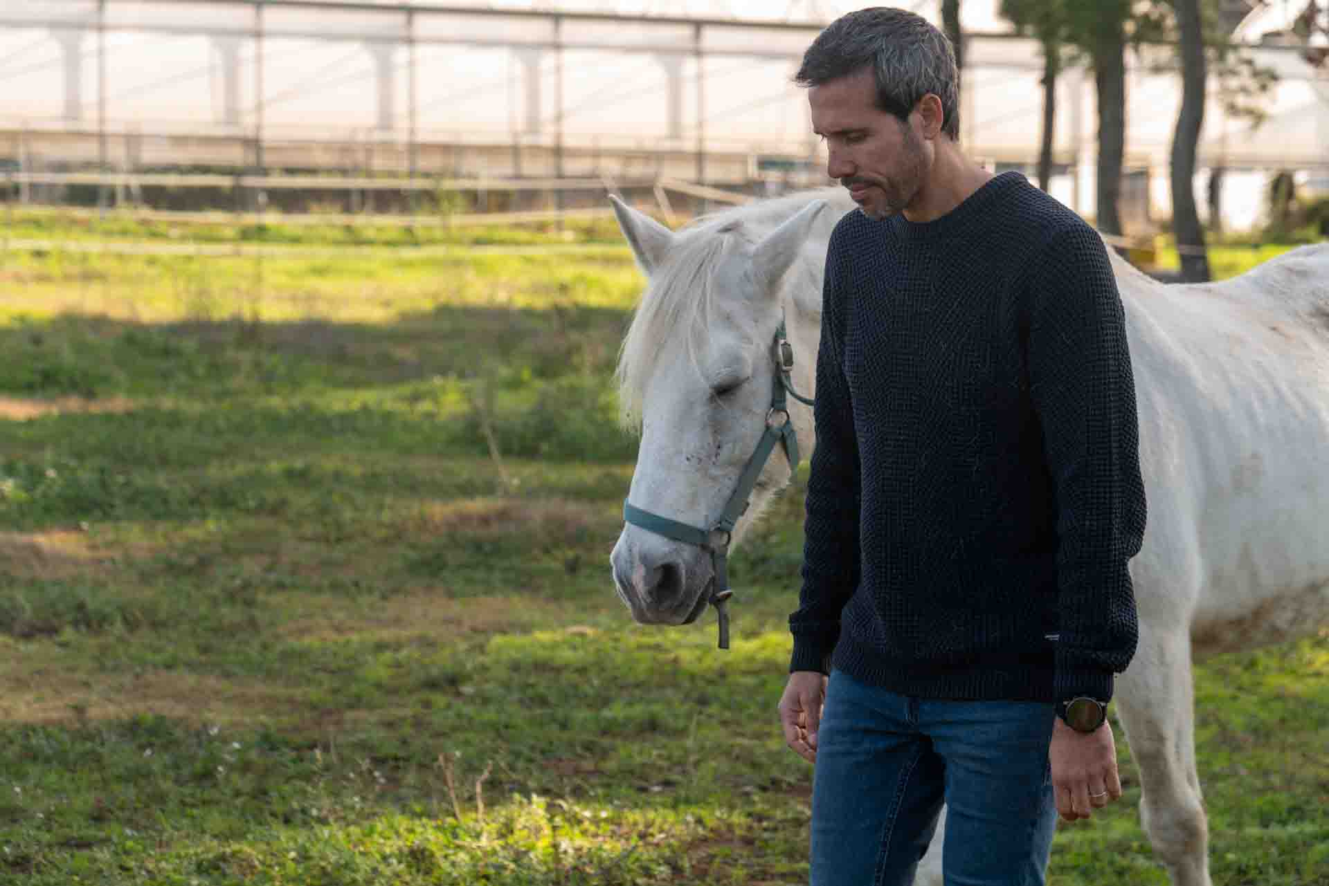 Sessió individual coaching sistèmic